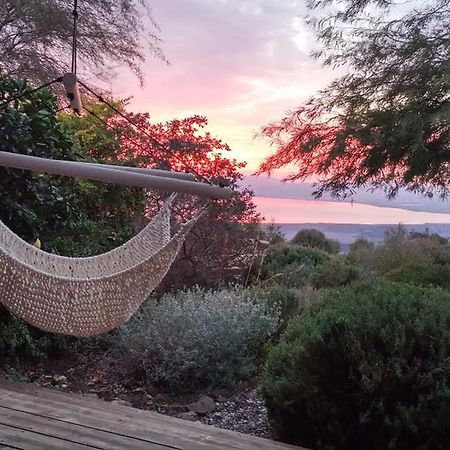Green Island Ma'ale Gamla Dış mekan fotoğraf