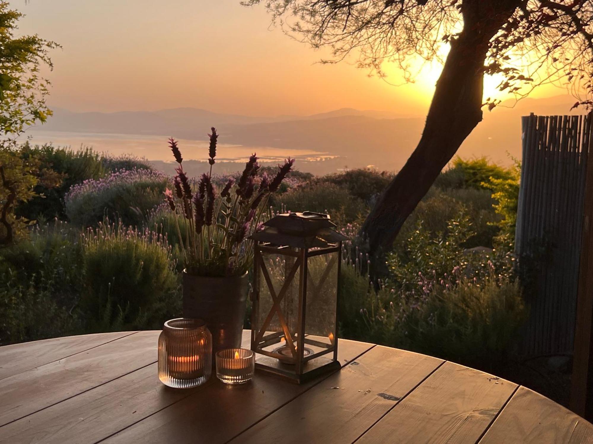 Green Island Ma'ale Gamla Dış mekan fotoğraf