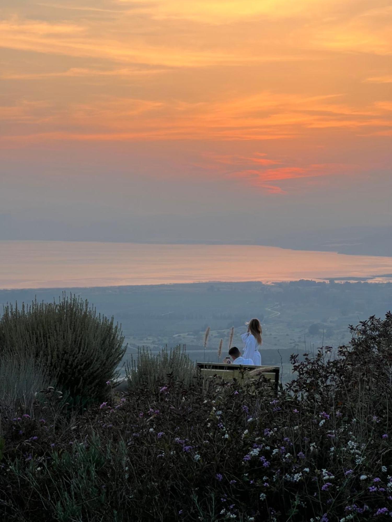 Green Island Ma'ale Gamla Dış mekan fotoğraf