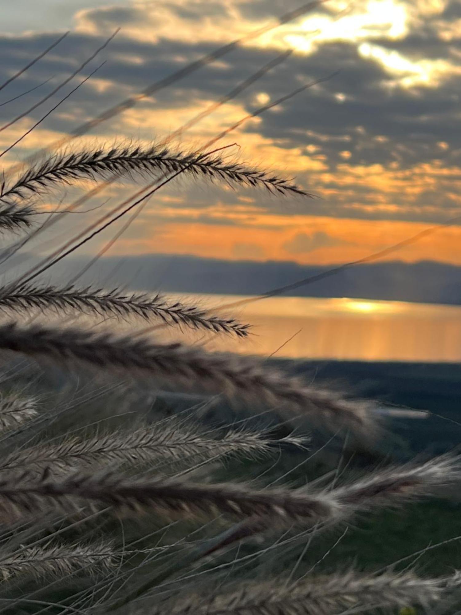 Green Island Ma'ale Gamla Dış mekan fotoğraf