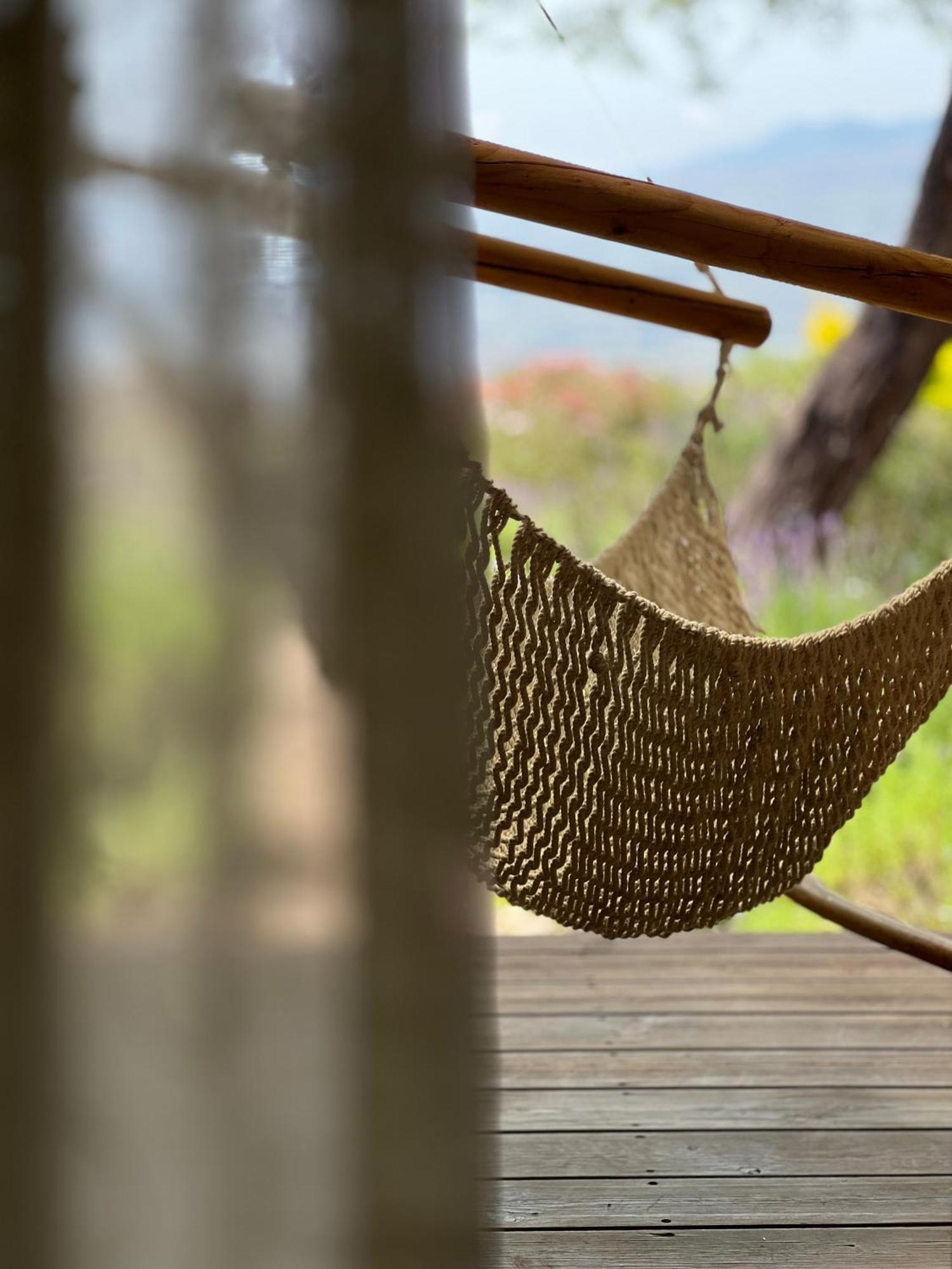 Green Island Ma'ale Gamla Dış mekan fotoğraf