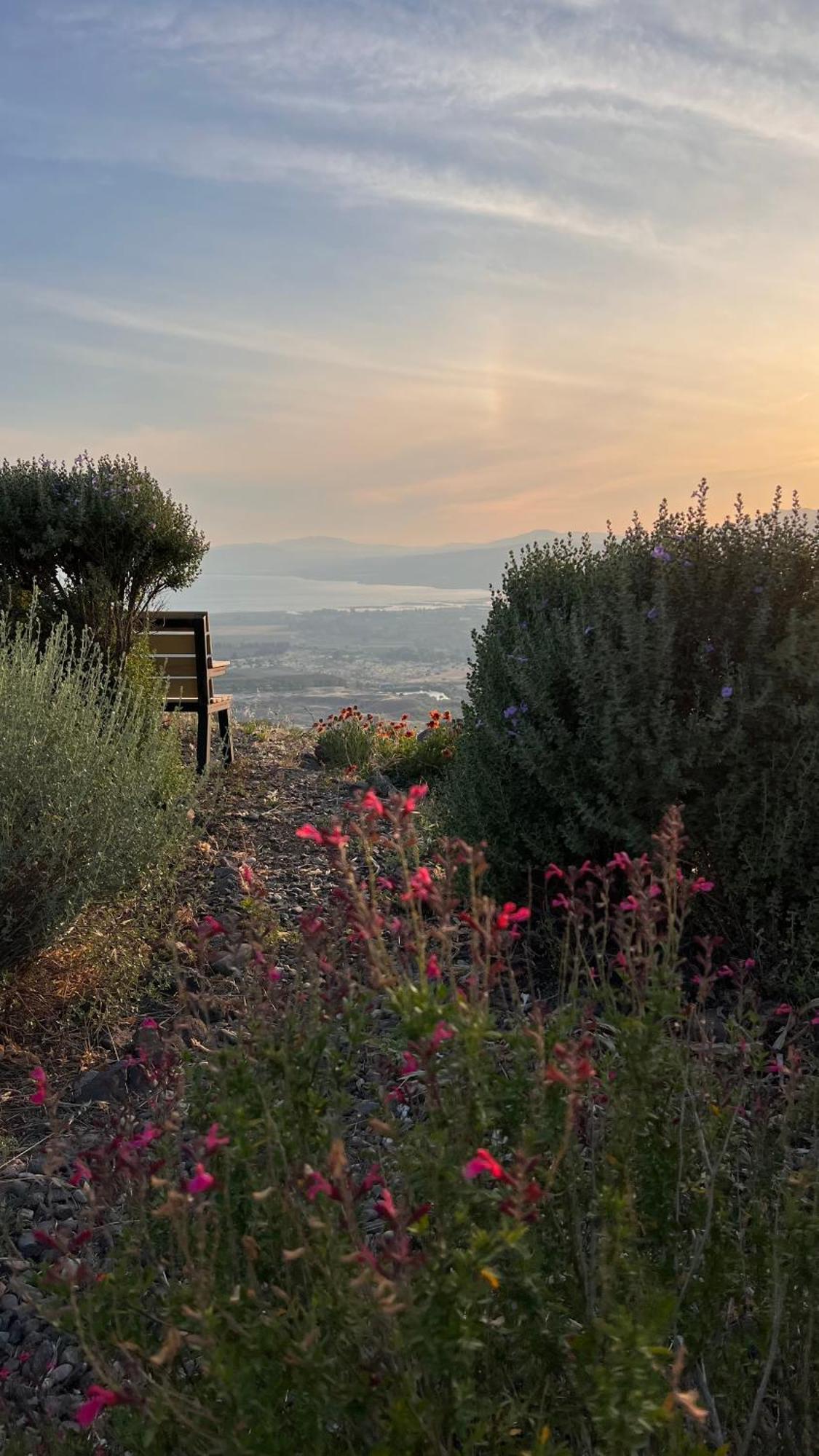 Green Island Ma'ale Gamla Dış mekan fotoğraf