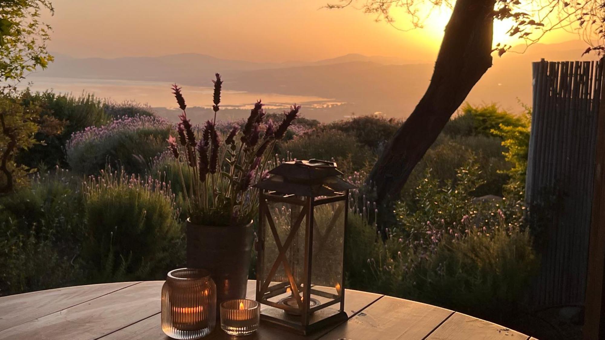 Green Island Ma'ale Gamla Dış mekan fotoğraf