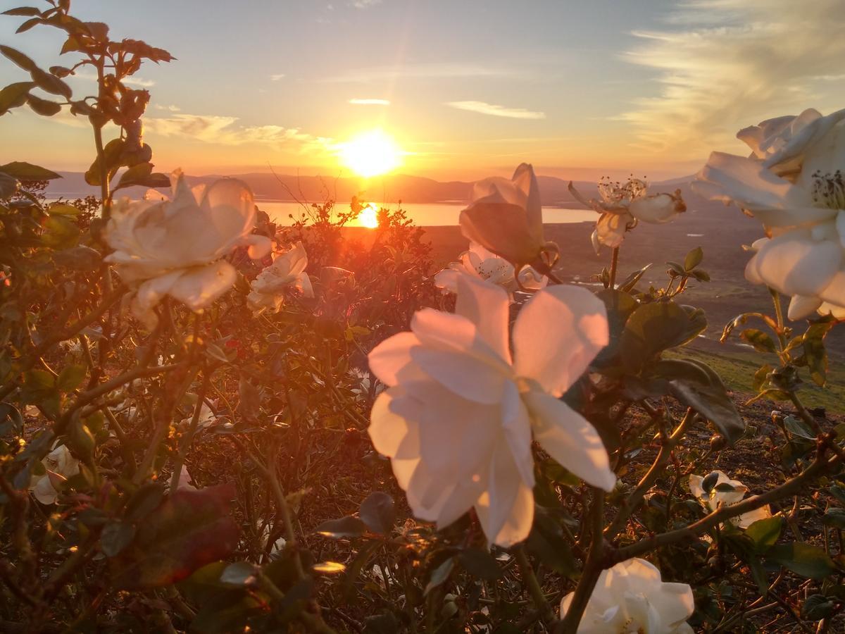 Green Island Ma'ale Gamla Dış mekan fotoğraf