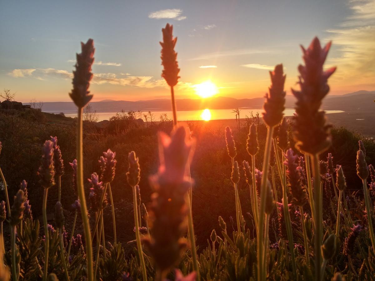 Green Island Ma'ale Gamla Dış mekan fotoğraf