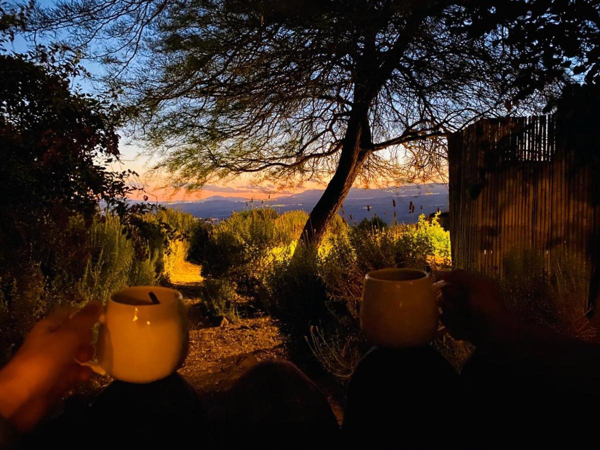 Green Island Ma'ale Gamla Dış mekan fotoğraf